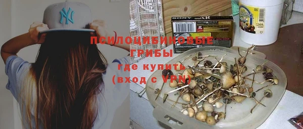 эйфоретик Иннополис
